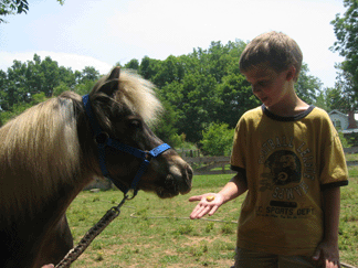 Patches and Child