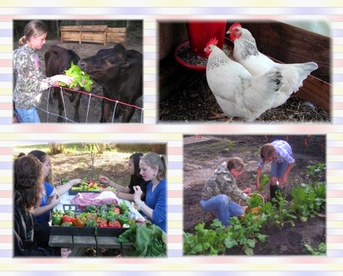 Girls on the Farm