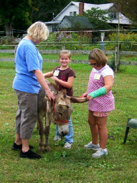 Grooming Molly the miniature donkey