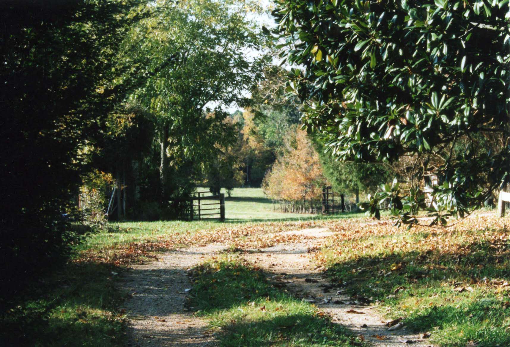 Winding Road