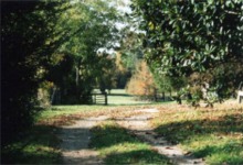 Genesis Farm Country Road